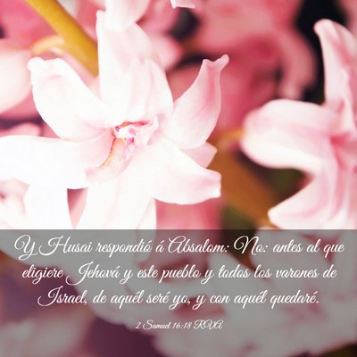 Picture 03 - 2 Samuel 16:18 RVA - Y Husai respondió á Absalom: No: antes al que - Bible Verse Picture