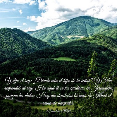 Picture 03 - 2 Samuel 16:3 RVA - Y dijo el rey: ¿Dónde está el hijo de tu - Bible Verse Picture