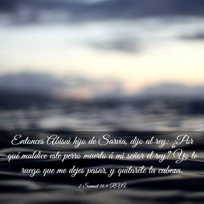 Picture 03 - 2 Samuel 16:9 RVA - Entonces Abisai hijo de Sarvia, dijo al rey: - Bible Verse Picture
