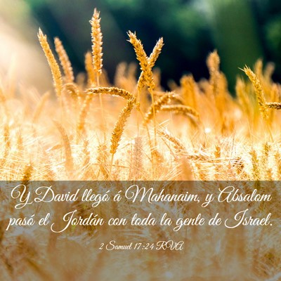 Picture 03 - 2 Samuel 17:24 RVA - Y David llegó á Mahanaim, y Absalom pasó el - Bible Verse Picture