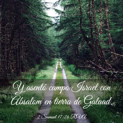 Picture 03 - 2 Samuel 17:26 RVA - Y asentó campo Israel con Absalom en tierra de - Bible Verse Picture