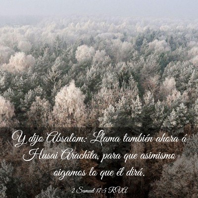 Picture 03 - 2 Samuel 17:5 RVA - Y dijo Absalom: Llama también ahora á Husai - Bible Verse Picture