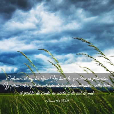 Picture 03 - 2 Samuel 18:4 RVA - Entonces el rey les dijo: Yo haré lo que bien os - Bible Verse Picture