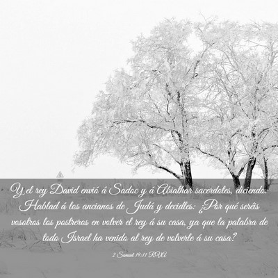 Picture 03 - 2 Samuel 19:11 RVA - Y el rey David envió á Sadoc y á Abiathar - Bible Verse Picture