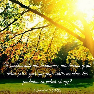 Picture 03 - 2 Samuel 19:12 RVA - Vosotros sois mis hermanos; mis huesos y mi carne - Bible Verse Picture