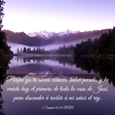 Picture 03 - 2 Samuel 19:20 RVA - Porque yo tu siervo conozco haber pecado, y he - Bible Verse Picture