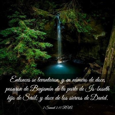 Picture 03 - 2 Samuel 2:15 RVA - Entonces se levantaron, y en número de doce, - Bible Verse Picture