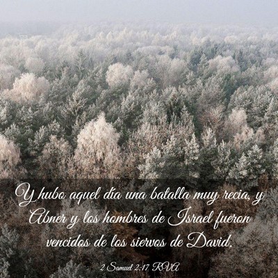 Picture 03 - 2 Samuel 2:17 RVA - Y hubo aquel día una batalla muy recia, y Abner - Bible Verse Picture