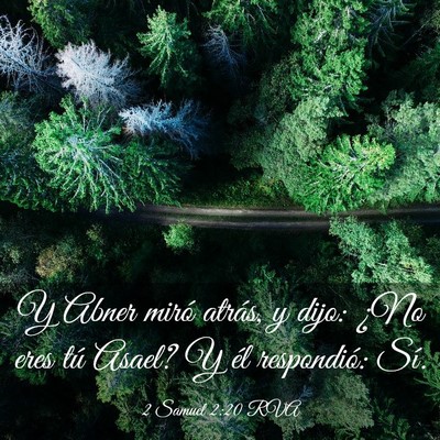 Picture 03 - 2 Samuel 2:20 RVA - Y Abner miró atrás, y dijo: ¿No eres tú - Bible Verse Picture