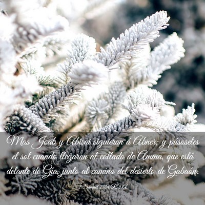 Picture 03 - 2 Samuel 2:24 RVA - Mas Joab y Abisai siguieron á Abner; y - Bible Verse Picture