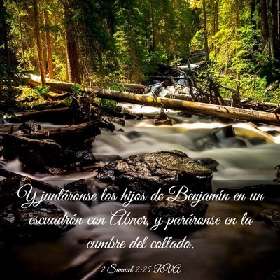 Picture 03 - 2 Samuel 2:25 RVA - Y juntáronse los hijos de Benjamín en un - Bible Verse Picture