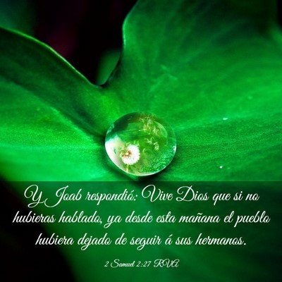 Picture 03 - 2 Samuel 2:27 RVA - Y Joab respondió: Vive Dios que si no hubieras - Bible Verse Picture