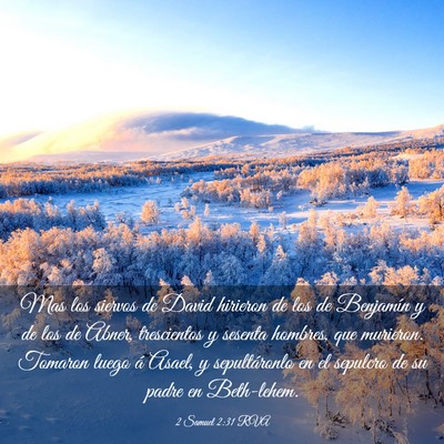 Picture 03 - 2 Samuel 2:31 RVA - Mas los siervos de David hirieron de los de - Bible Verse Picture