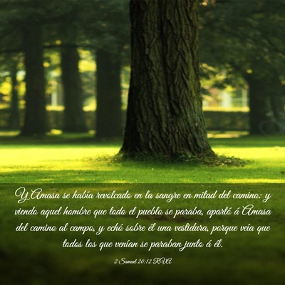 Picture 03 - 2 Samuel 20:12 RVA - Y Amasa se había revolcado en la sangre en mitad - Bible Verse Picture