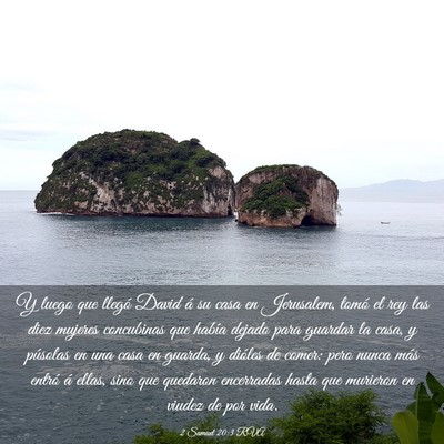 Picture 03 - 2 Samuel 20:3 RVA - Y luego que llegó David á su casa en Jerusalem, - Bible Verse Picture