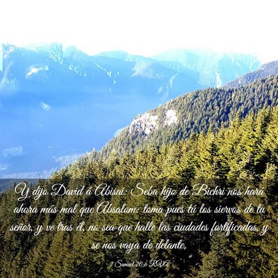 Picture 03 - 2 Samuel 20:6 RVA - Y dijo David á Abisai: Seba hijo de Bichri nos - Bible Verse Picture