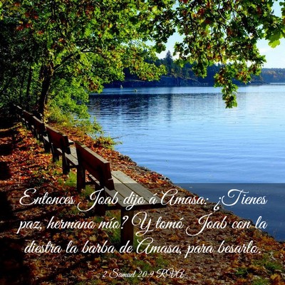 Picture 03 - 2 Samuel 20:9 RVA - Entonces Joab dijo á Amasa: ¿Tienes paz, - Bible Verse Picture