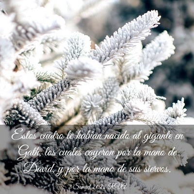 Picture 03 - 2 Samuel 21:22 RVA - Estos cuatro le habían nacido al gigante en - Bible Verse Picture
