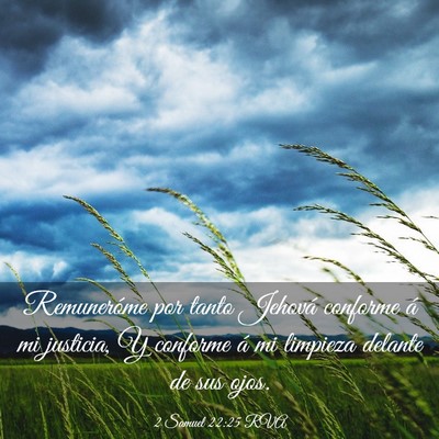 Picture 03 - 2 Samuel 22:25 RVA - Remuneróme por tanto Jehová conforme á mi - Bible Verse Picture