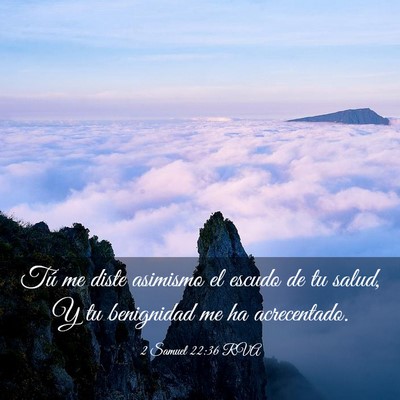 Picture 03 - 2 Samuel 22:36 RVA - Tú me diste asimismo el escudo de tu salud, Y tu - Bible Verse Picture