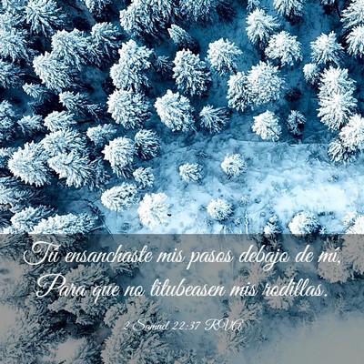 Picture 03 - 2 Samuel 22:37 RVA - Tú ensanchaste mis pasos debajo de mí, Para que - Bible Verse Picture