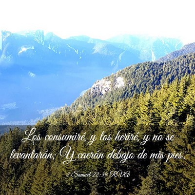 Picture 03 - 2 Samuel 22:39 RVA - Los consumiré, y los heriré, y no se - Bible Verse Picture