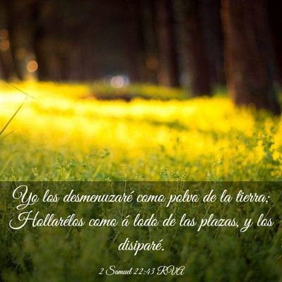 Picture 03 - 2 Samuel 22:43 RVA - Yo los desmenuzaré como polvo de la tierra; - Bible Verse Picture