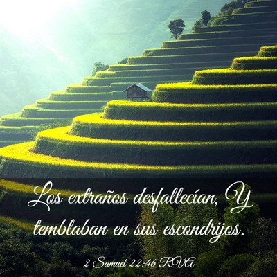 Picture 03 - 2 Samuel 22:46 RVA - Los extraños desfallecían, Y temblaban en sus - Bible Verse Picture