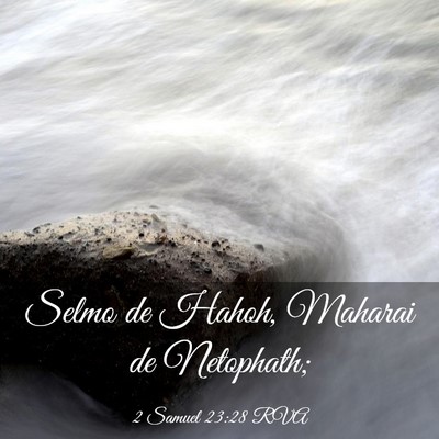 Picture 03 - 2 Samuel 23:28 RVA - Selmo de Hahoh, Maharai de - Bible Verse Picture