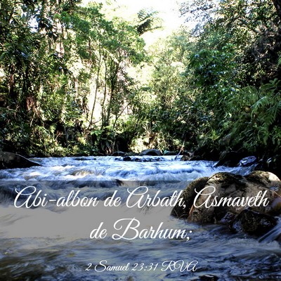 Picture 03 - 2 Samuel 23:31 RVA - Abi-albon de Arbath, Asmaveth de - Bible Verse Picture