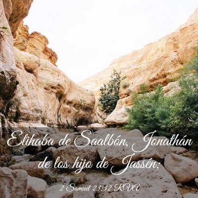 Picture 03 - 2 Samuel 23:32 RVA - Elihaba de Saalbón, Jonathán de los hijo de - Bible Verse Picture