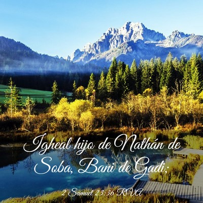 Picture 03 - 2 Samuel 23:36 RVA - Igheal hijo de Nathán de Soba, Bani de - Bible Verse Picture