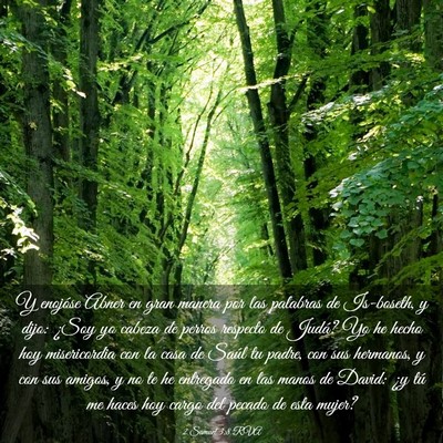 Picture 03 - 2 Samuel 3:8 RVA - Y enojóse Abner en gran manera por las palabras - Bible Verse Picture