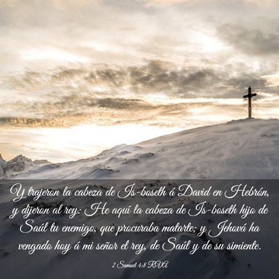 Picture 03 - 2 Samuel 4:8 RVA - Y trajeron la cabeza de Is-boseth á David en - Bible Verse Picture