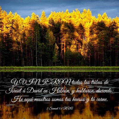 Picture 03 - 2 Samuel 5:1 RVA - Y VINIERON todas las tribus de Israel á David en - Bible Verse Picture