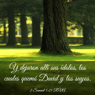 Picture 03 - 2 Samuel 5:21 RVA - Y dejaron allí sus ídolos, los cuales quemó - Bible Verse Picture