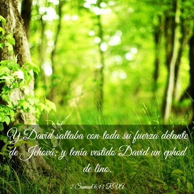 Picture 03 - 2 Samuel 6:14 RVA - Y David saltaba con toda su fuerza delante de - Bible Verse Picture