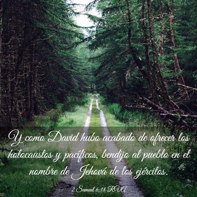 Picture 03 - 2 Samuel 6:18 RVA - Y como David hubo acabado de ofrecer los - Bible Verse Picture