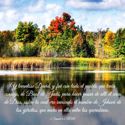 Picture 03 - 2 Samuel 6:2 RVA - Y levantóse David, y fué con todo el pueblo que - Bible Verse Picture