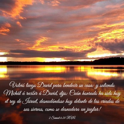 Picture 03 - 2 Samuel 6:20 RVA - Volvió luego David para bendecir su casa: y - Bible Verse Picture