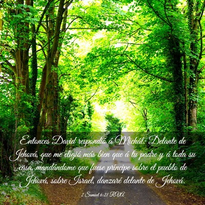 Picture 03 - 2 Samuel 6:21 RVA - Entonces David respondió á Michâl: Delante de - Bible Verse Picture