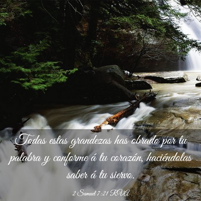 Picture 03 - 2 Samuel 7:21 RVA - Todas estas grandezas has obrado por tu palabra y - Bible Verse Picture