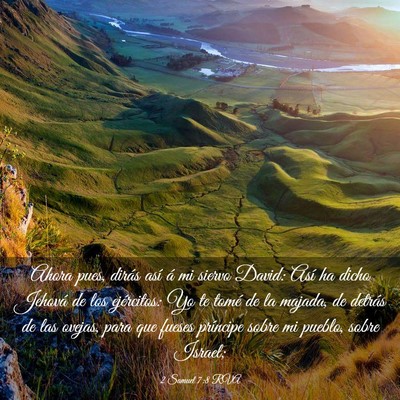 Picture 03 - 2 Samuel 7:8 RVA - Ahora pues, dirás así á mi siervo David: Así - Bible Verse Picture