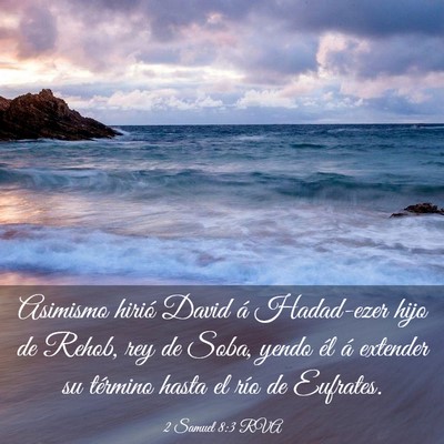 Picture 03 - 2 Samuel 8:3 RVA - Asimismo hirió David á Hadad-ezer hijo de - Bible Verse Picture
