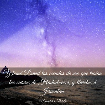 Picture 03 - 2 Samuel 8:7 RVA - Y tomó David los escudos de oro que traían los - Bible Verse Picture