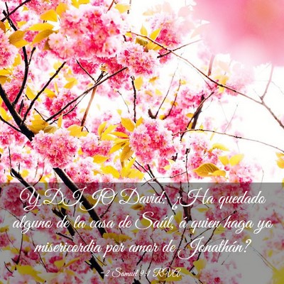 Picture 03 - 2 Samuel 9:1 RVA - Y DIJO David: ¿Ha quedado alguno de la casa de - Bible Verse Picture