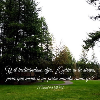 Picture 03 - 2 Samuel 9:8 RVA - Y él inclinándose, dijo: ¿Quién es tu siervo, - Bible Verse Picture