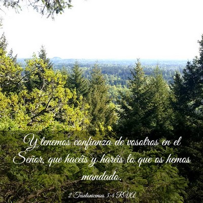 Picture 03 - 2 Tesalonicenses 3:4 RVA - Y tenemos confianza de vosotros en el Señor, que - Bible Verse Picture