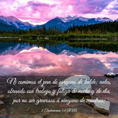 Picture 03 - 2 Tesalonicenses 3:8 RVA - Ni comimos el pan de ninguno de balde; antes, - Bible Verse Picture
