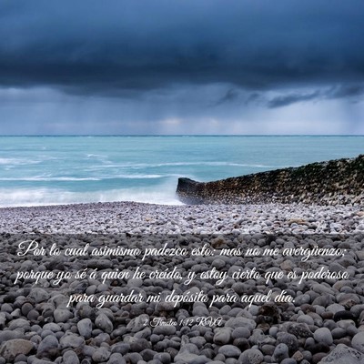 Picture 03 - 2 Timoteo 1:12 RVA - Por lo cual asimismo padezco esto: mas no me - Bible Verse Picture